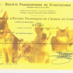 Cetac Soins calins, garde d'animaux à domicile à Annecy