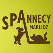 SPA marlioz - Un chat ou pas Couper les griffes de son chat - Ô p'tits félins, garde et visite de chats Annecy