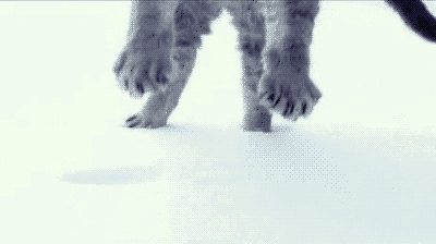 gif-anime-chat-neige
